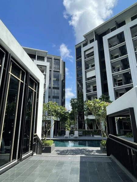 Mayfair Modern & Garden project photo